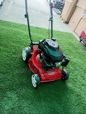 Power Propelled Petrol Garden Lawn Mower