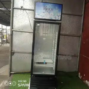 Roch Display Fridge Best Among the Best Fridge