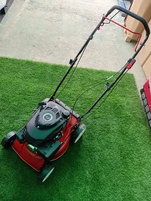 Stronger Power 4.5hp Ecoolmax Pertol Mower Japan Model Made