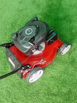 Smart Panel 4.5hp Ecoolmax Pertol Mower Japan Model Made In