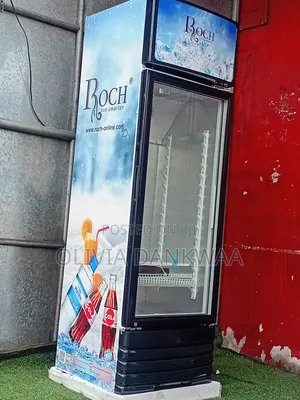Quality and Affordable 290L Roch Fridge