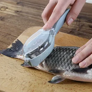 Fish Scale Scraper and Remover