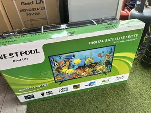Westpool 43 Inch Digital Satellite Tv