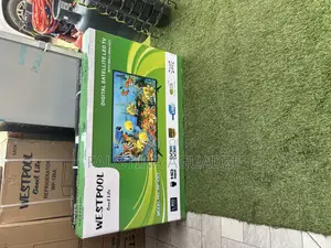Westpool 43 Inch Digital Satellite Tv