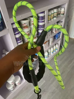 Harnesses and Leash for Dogs
