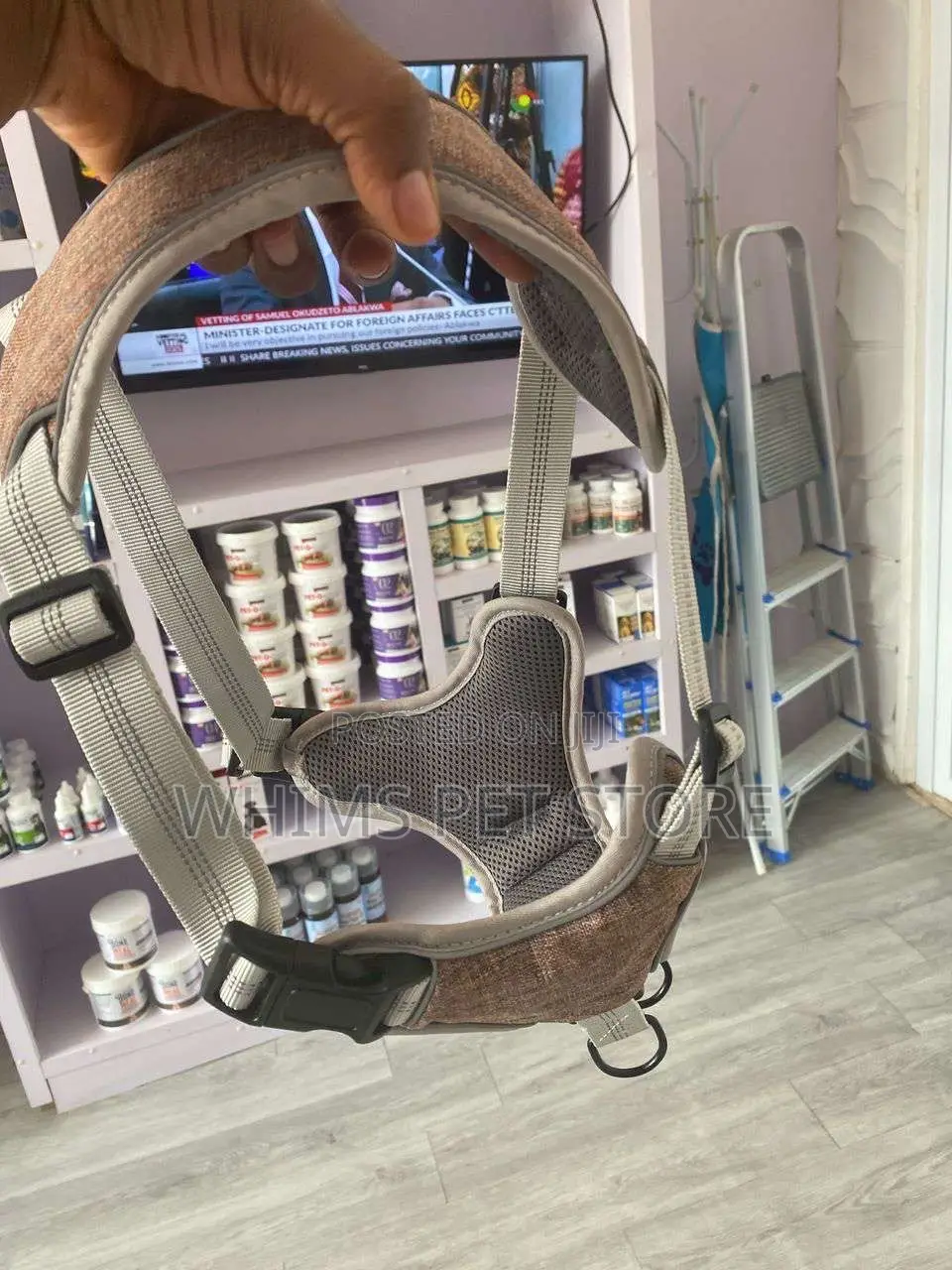 Harnesses and Leash for Dogs
