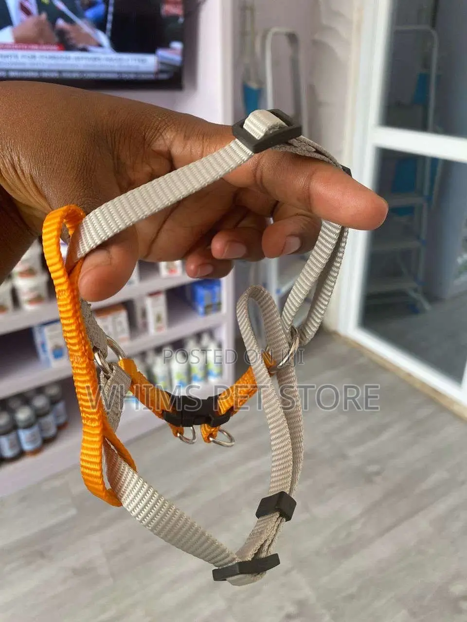 Harnesses and Leash for Dogs