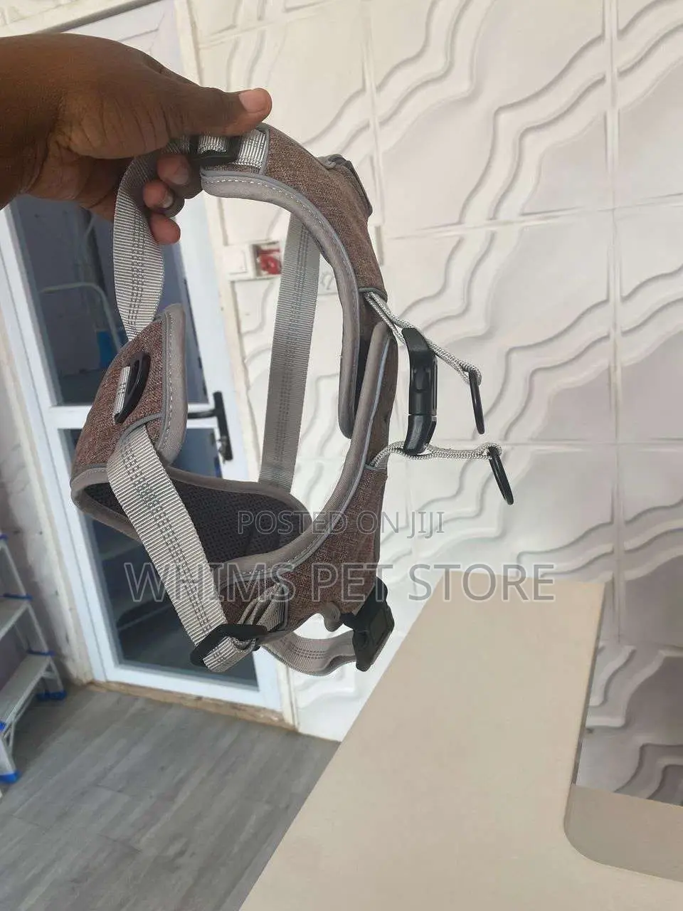 Harnesses and Leash for Dogs