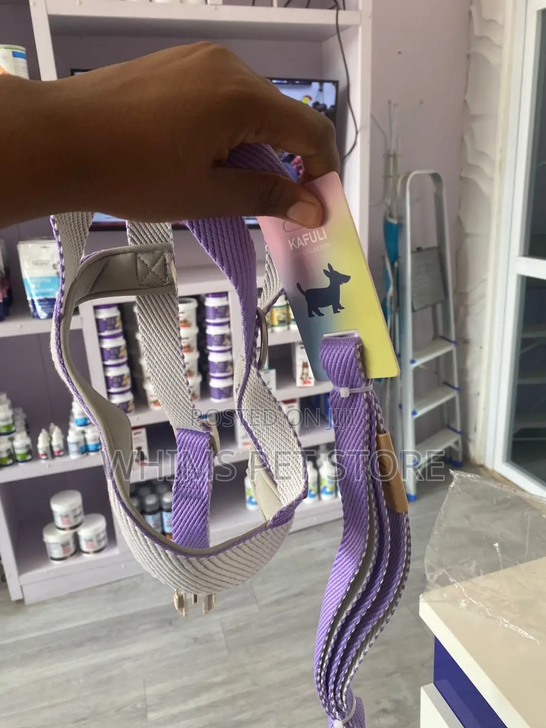 Harnesses and Leash for Dogs
