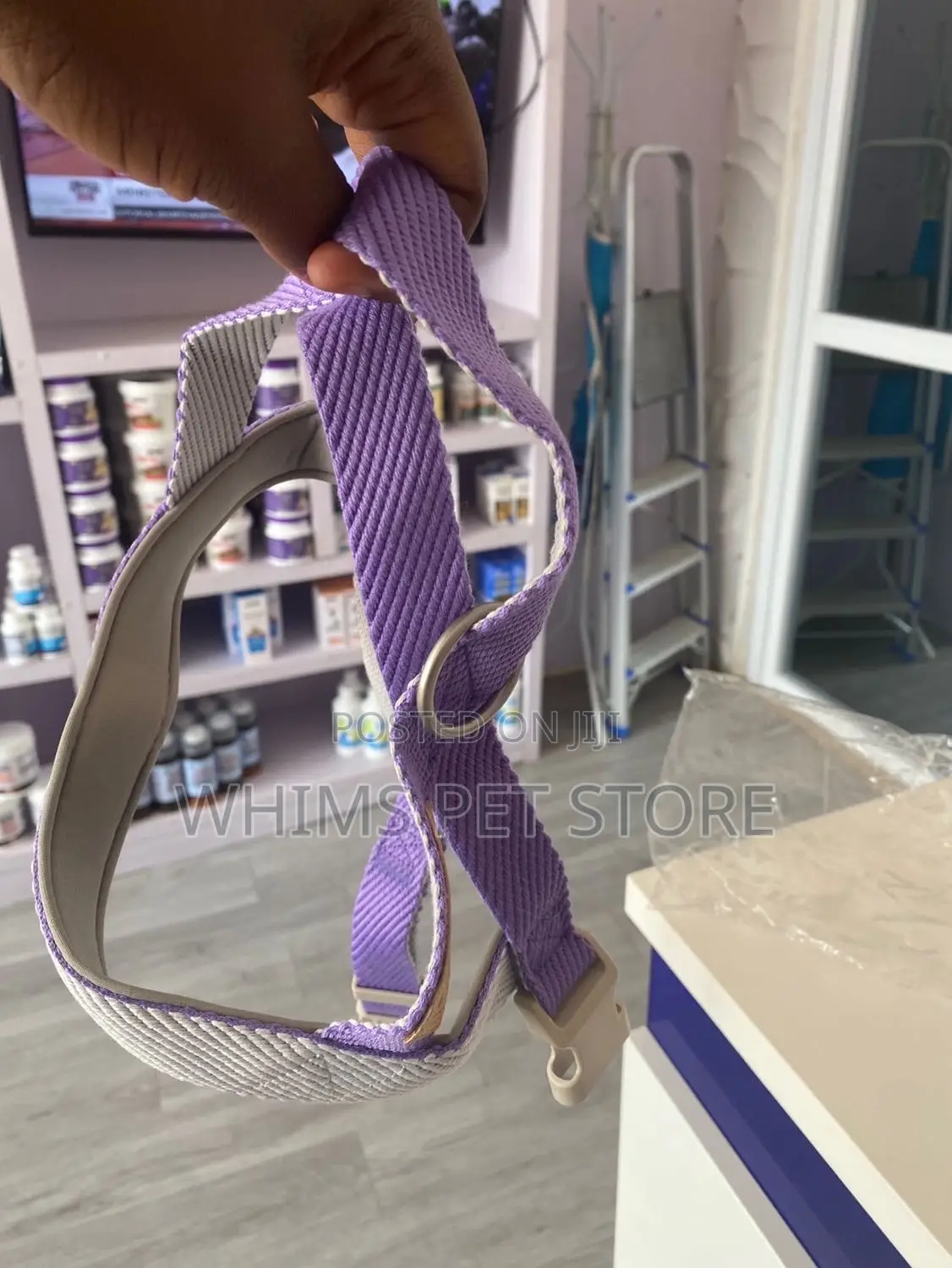 Harnesses and Leash for Dogs