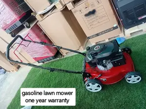 Reliable Gasoline Grass Lawn Mower Modernised