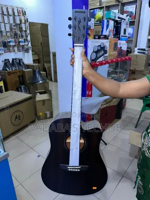 Stringberg Semi-Acoustic Guitar