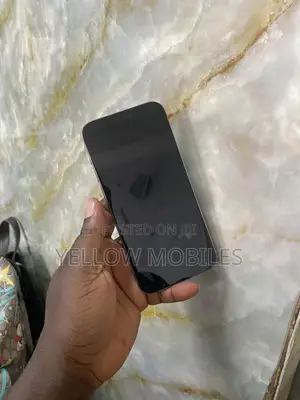 Apple iPhone 15 Pro Max 256 GB Gray
