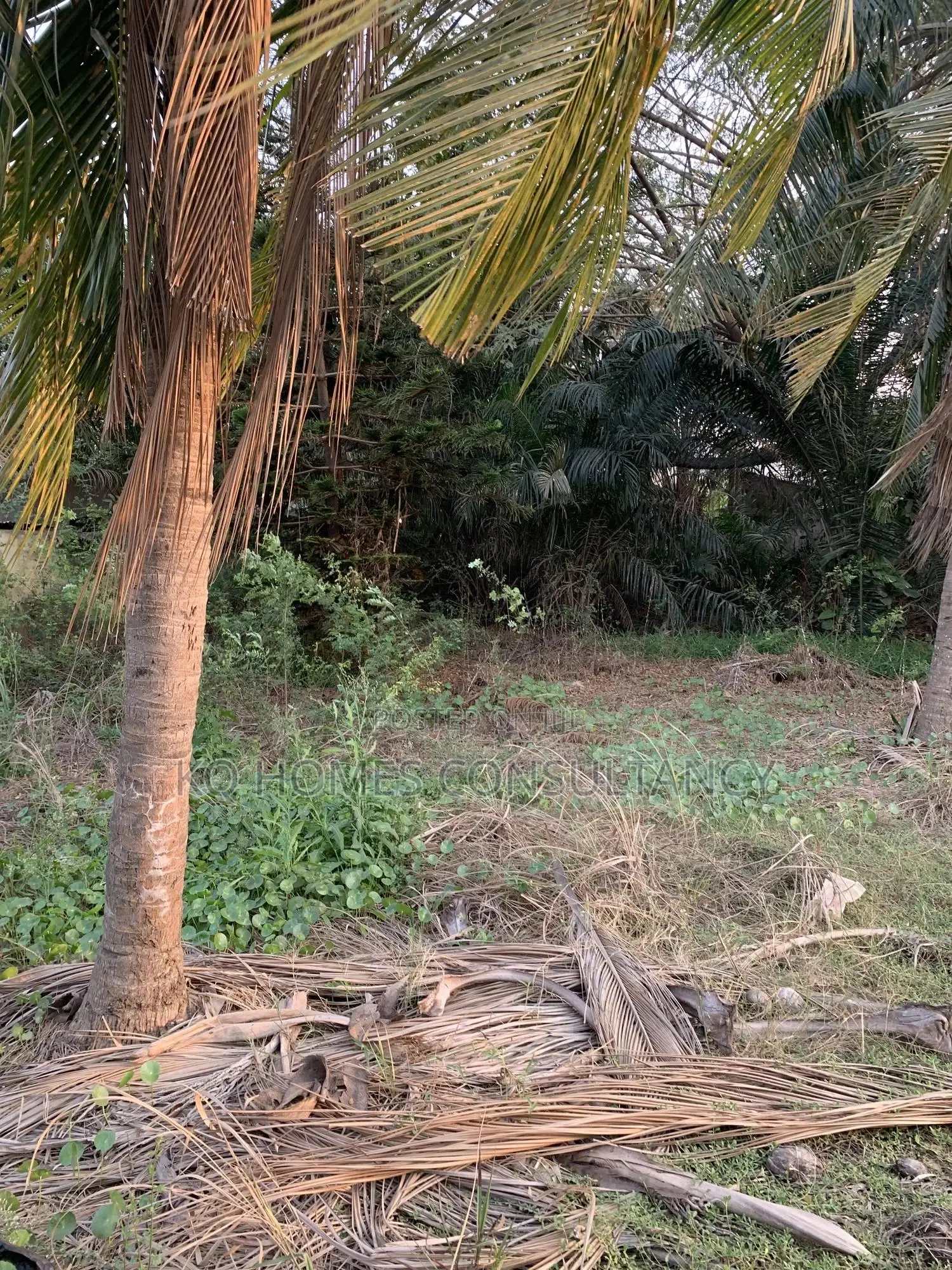 (1) Acre Land for Sale at Tesano