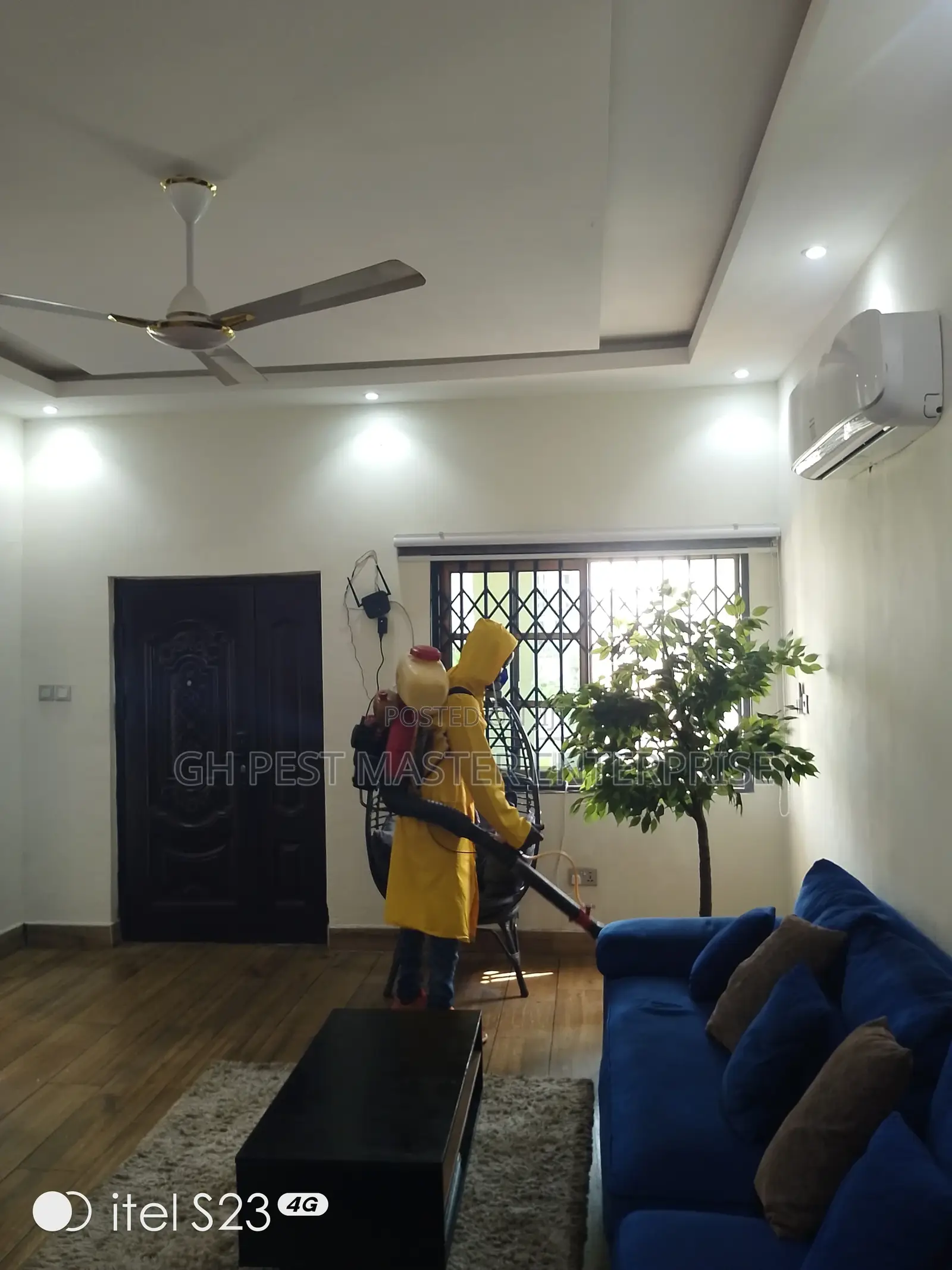 Bedbugs,Cockroaches,Mosquitoes, Snake Fumigation Service