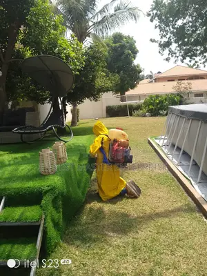 Bedbugs,Cockroaches,Mosquitoes, Snake Fumigation Service