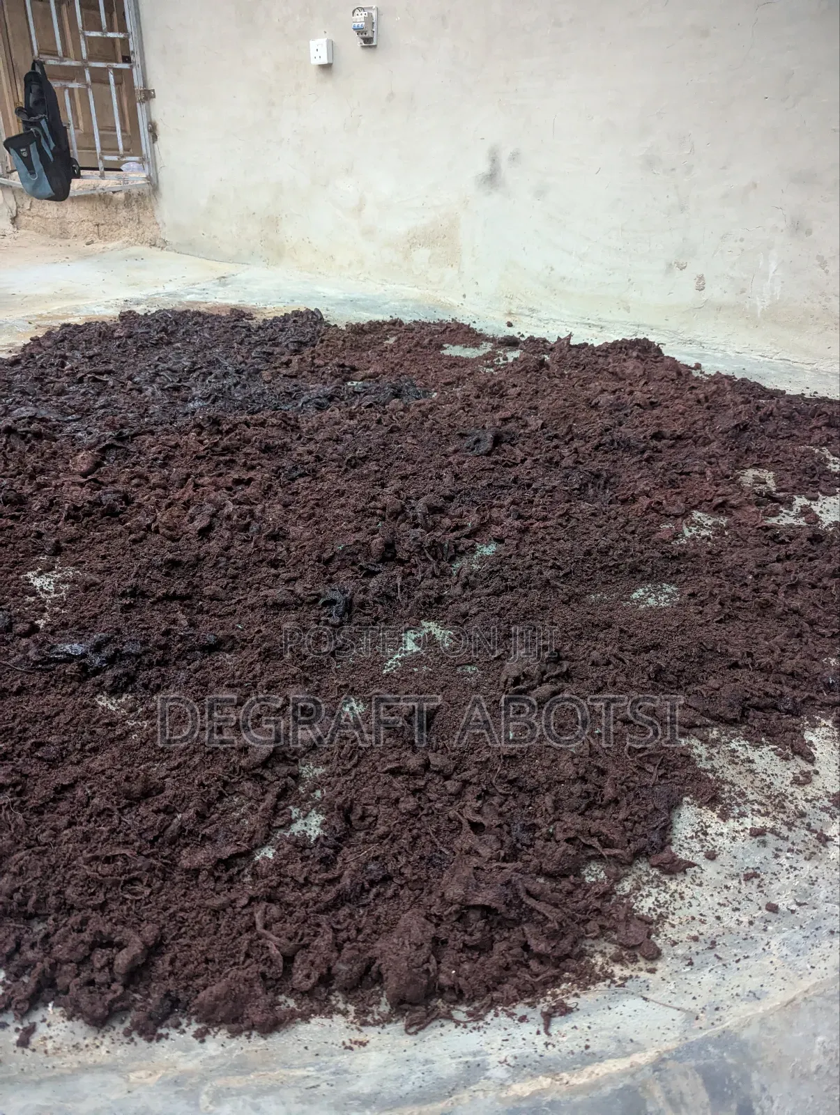 Blood Meal