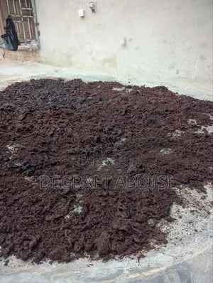 Blood Meal