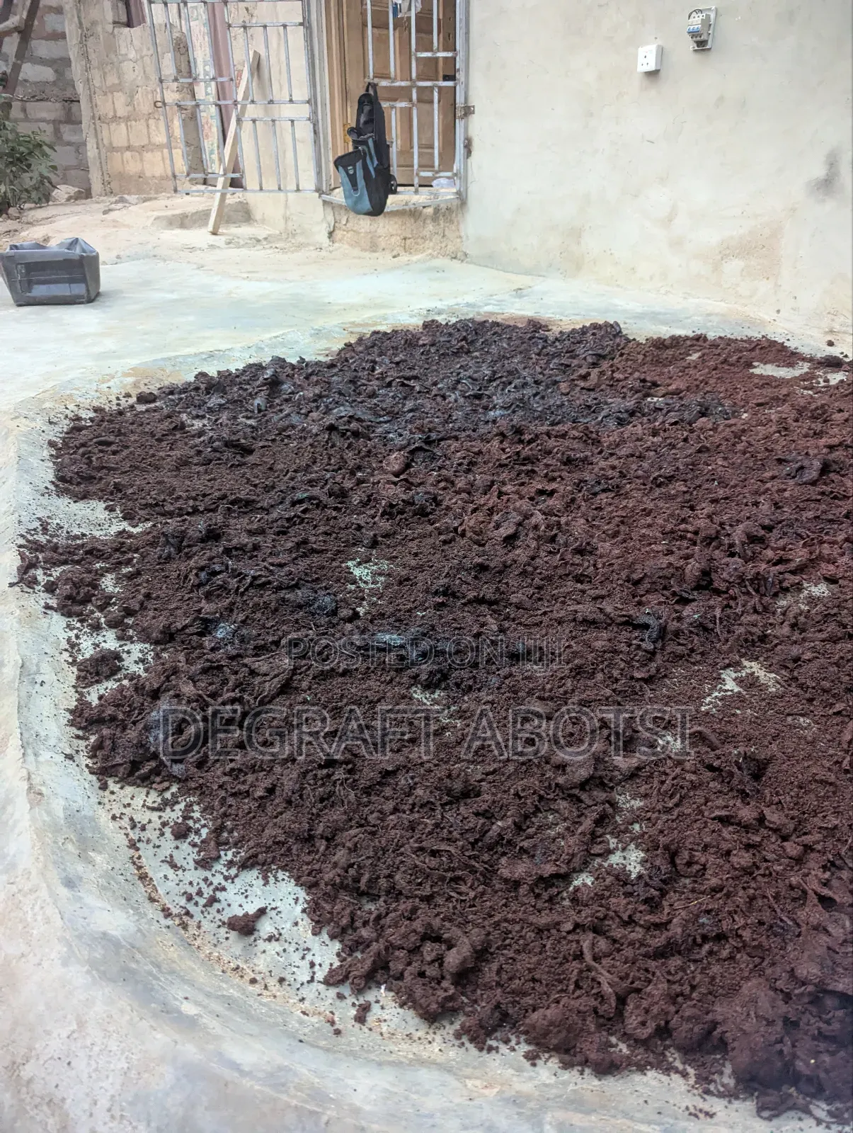 Blood Meal
