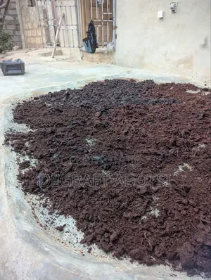 Blood Meal