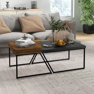 Coffee Table (Set of 2)