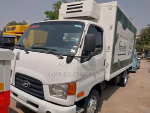 Hyundai Mighty Container