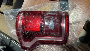 F-150 2019 Tail Light Pair and All Parts