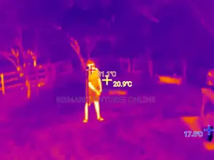 Thermal Image Camera for Rent 256x192 Pixels