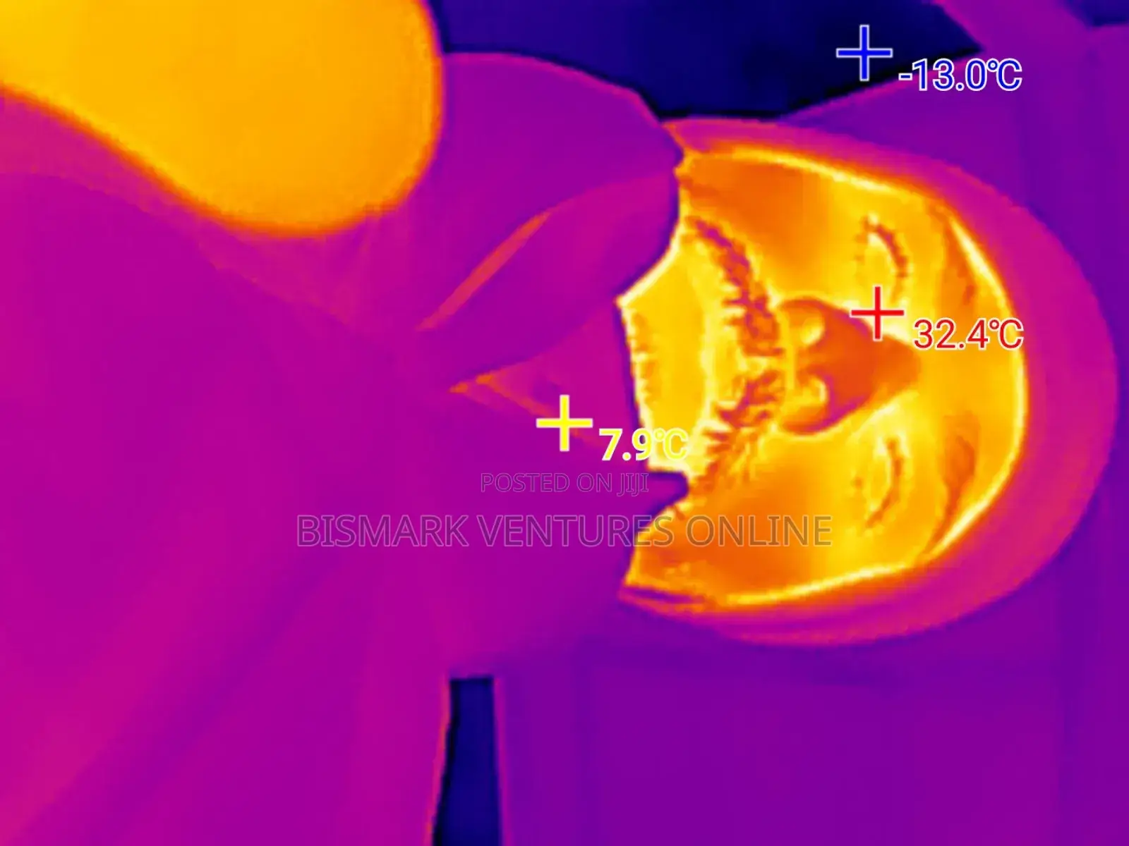Thermal Image Camera for Rent 256x192 Pixels