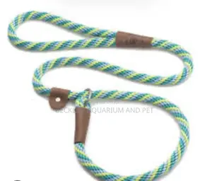 Flip Colors With Leash