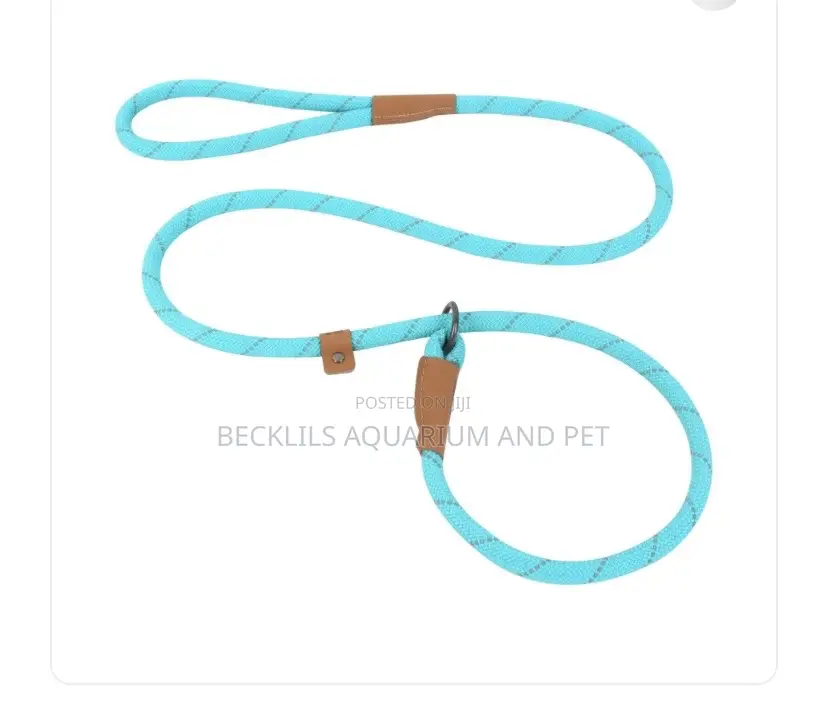 Flip Colors With Leash