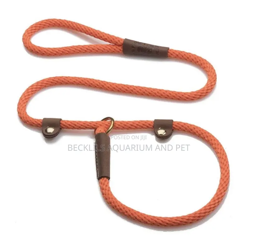 Flip Colors With Leash