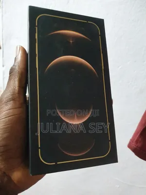 New Apple iPhone 12 Pro Max 256 GB