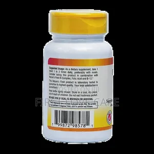 Nature's Field Vitamin B6