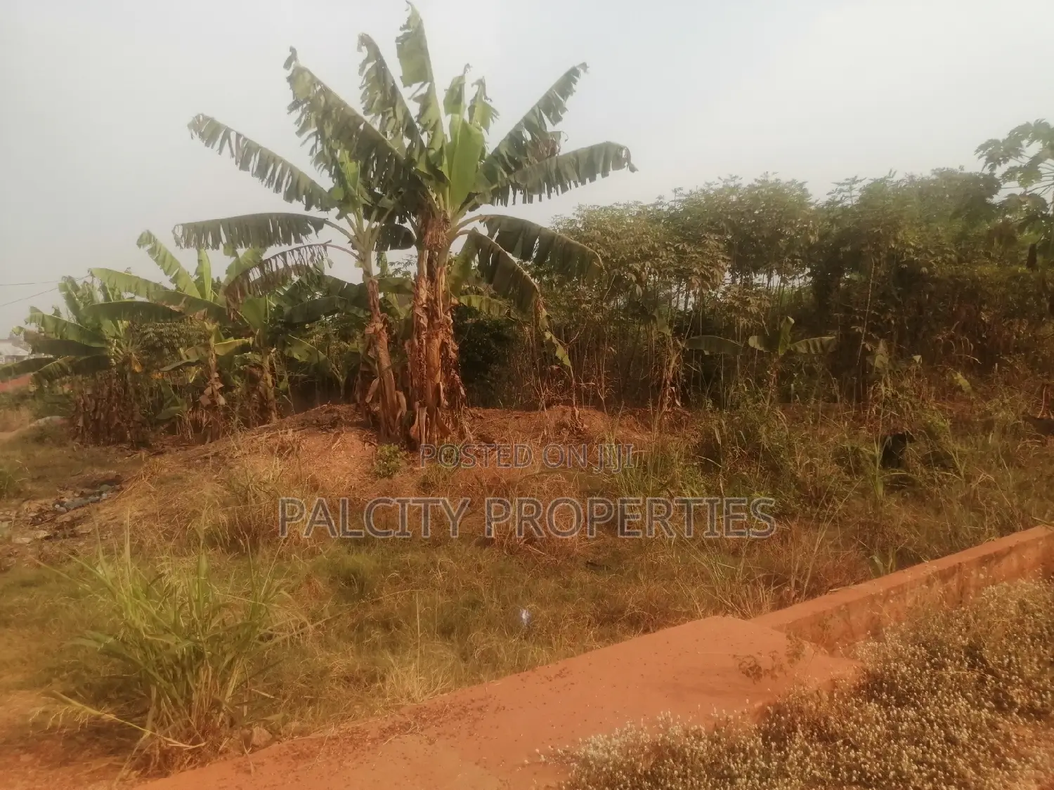 Full Plot for Sale at Santasi A1