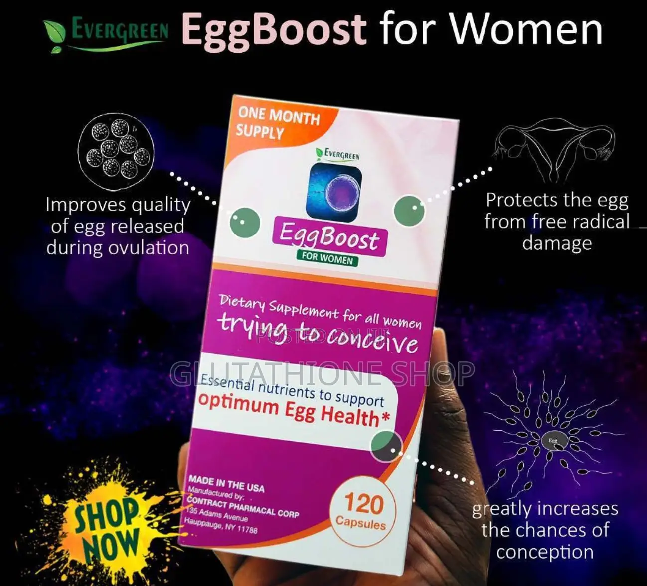 Evergreen Egg Boost For Women -120 Capsules
