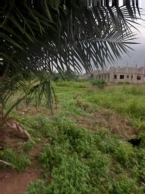 One Plot of Land D for Sale at Focus Hospital