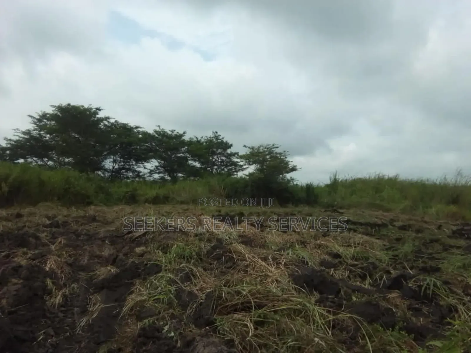 Farm Land for Sale