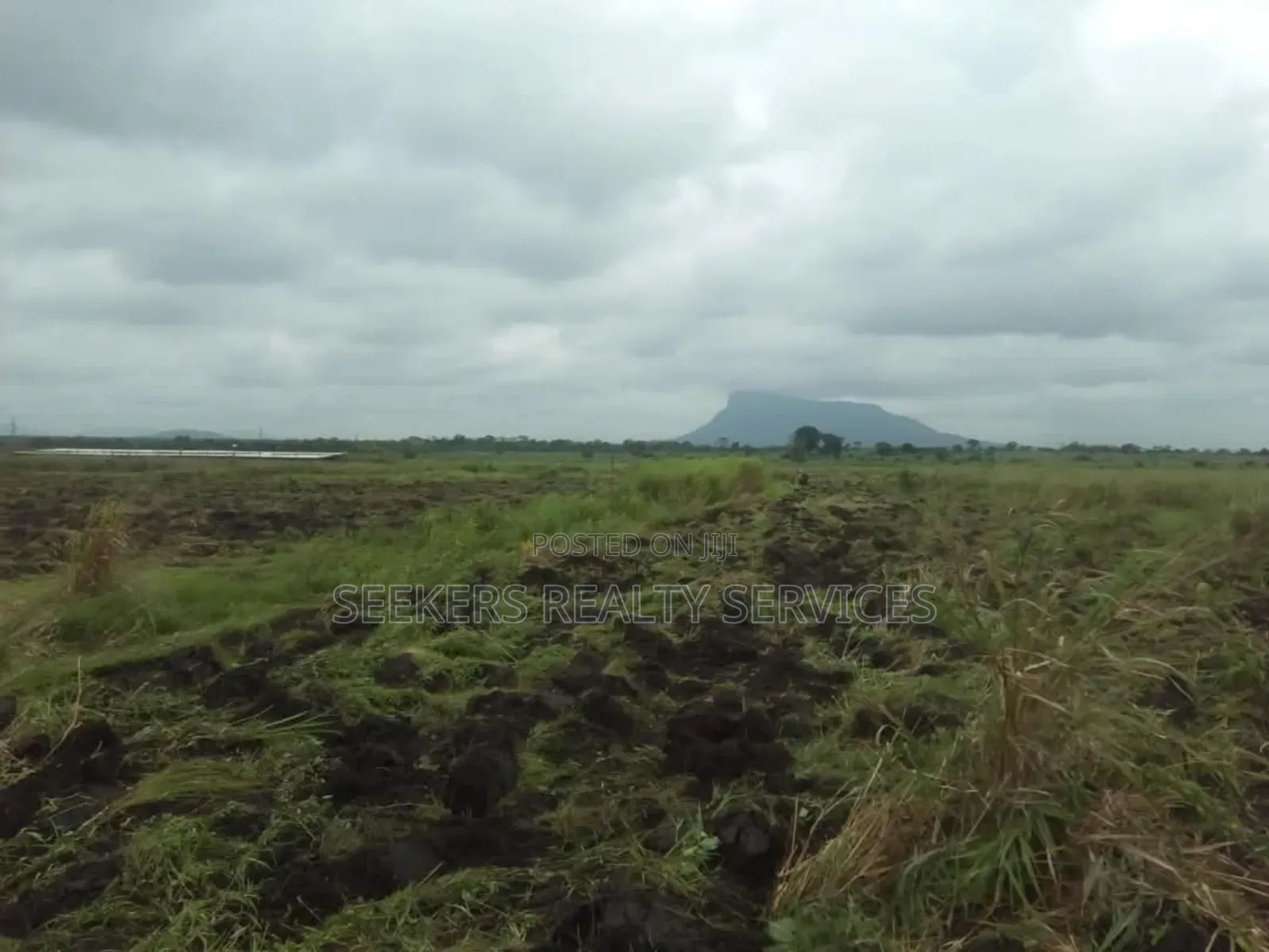 Farm Land for Sale