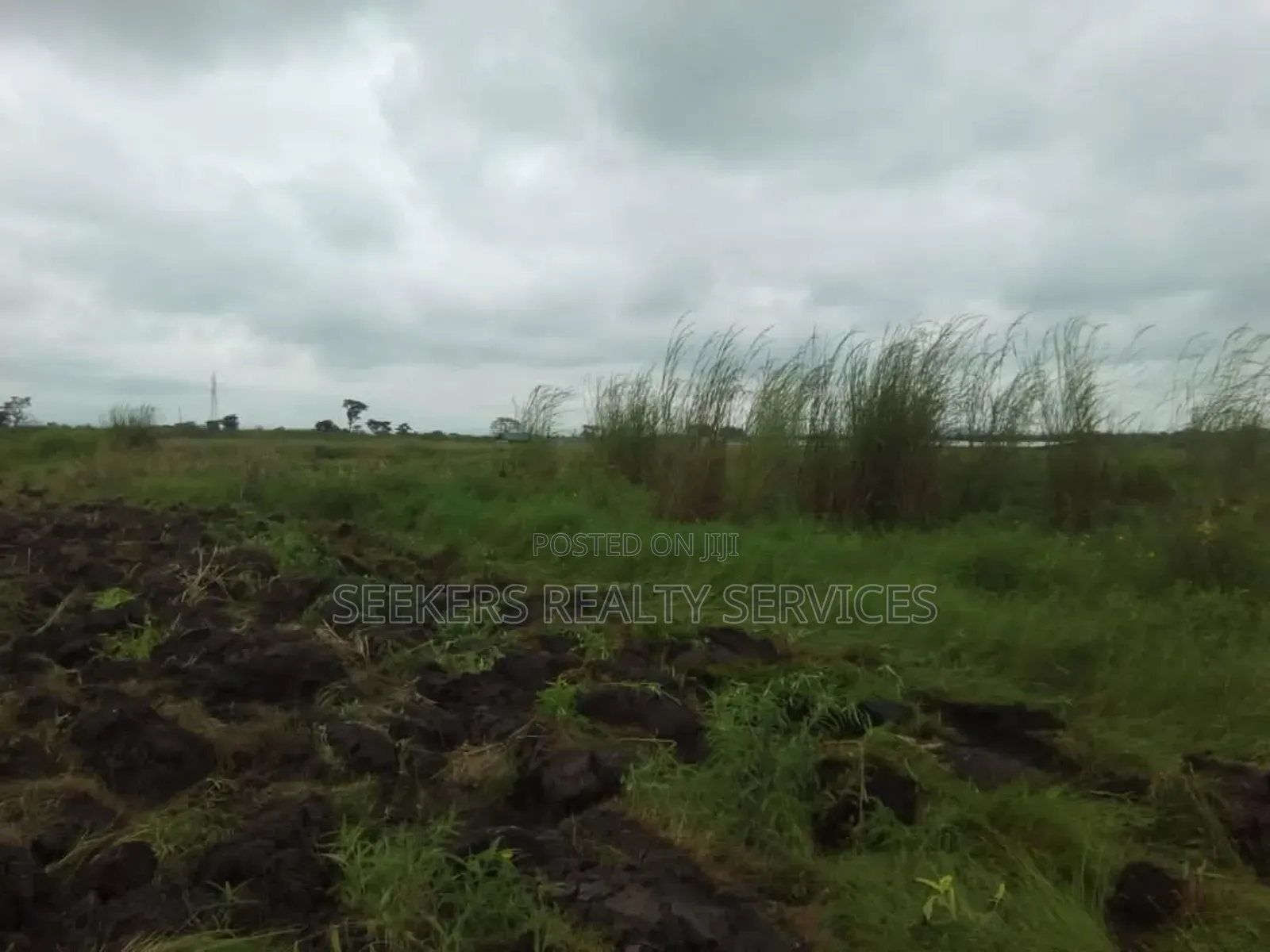 Farm Land for Sale