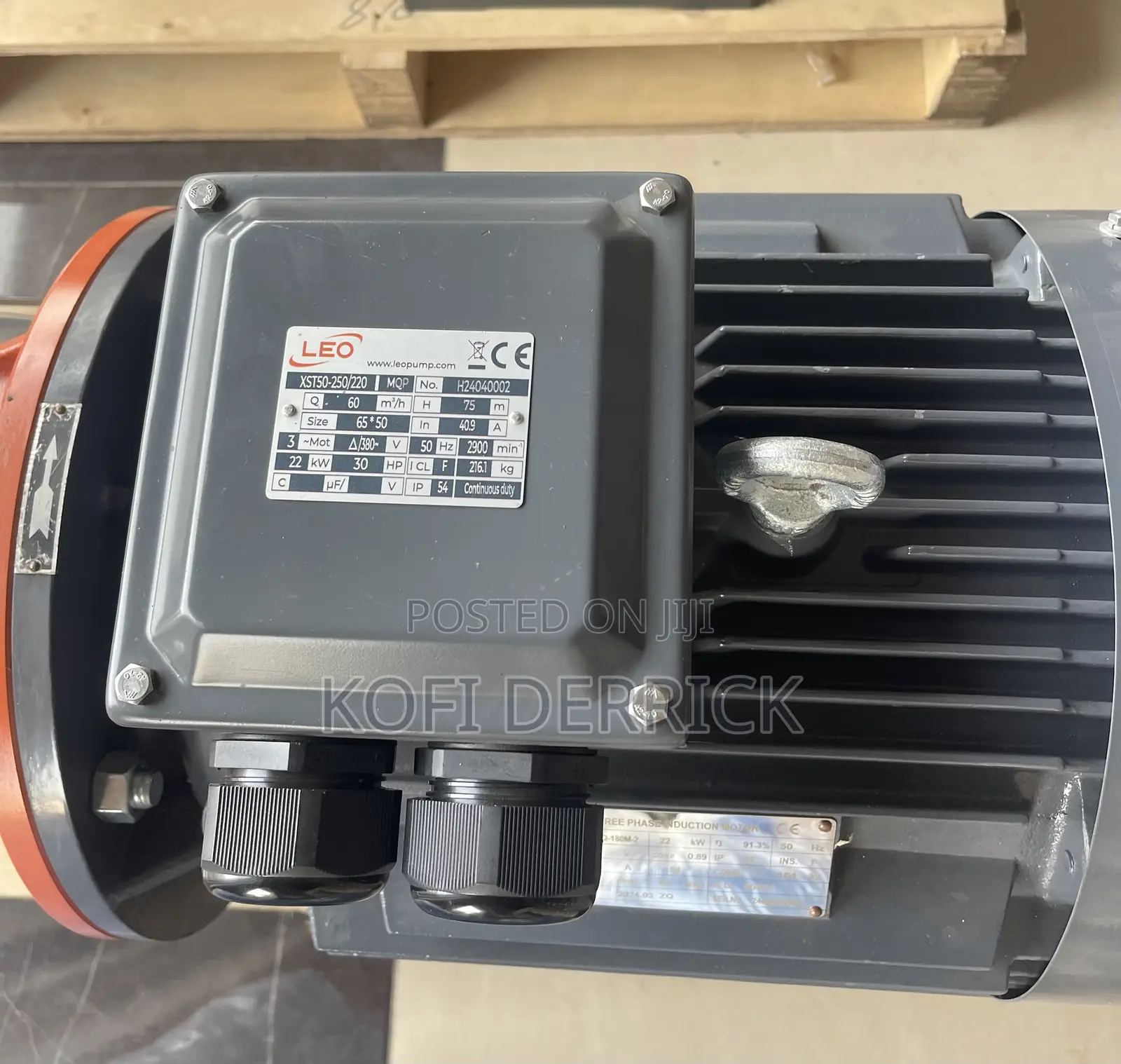 30hp Water Pump - Leo Water Pump (30hp)