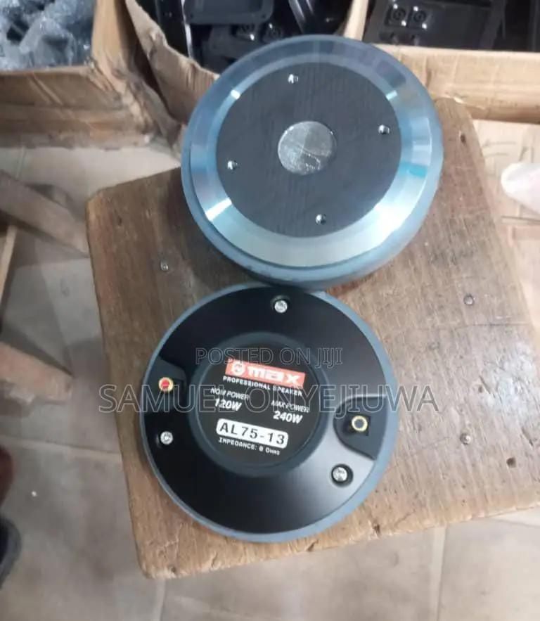 Horn Tweeter Magnet Driver Unit - (Biggest Size)