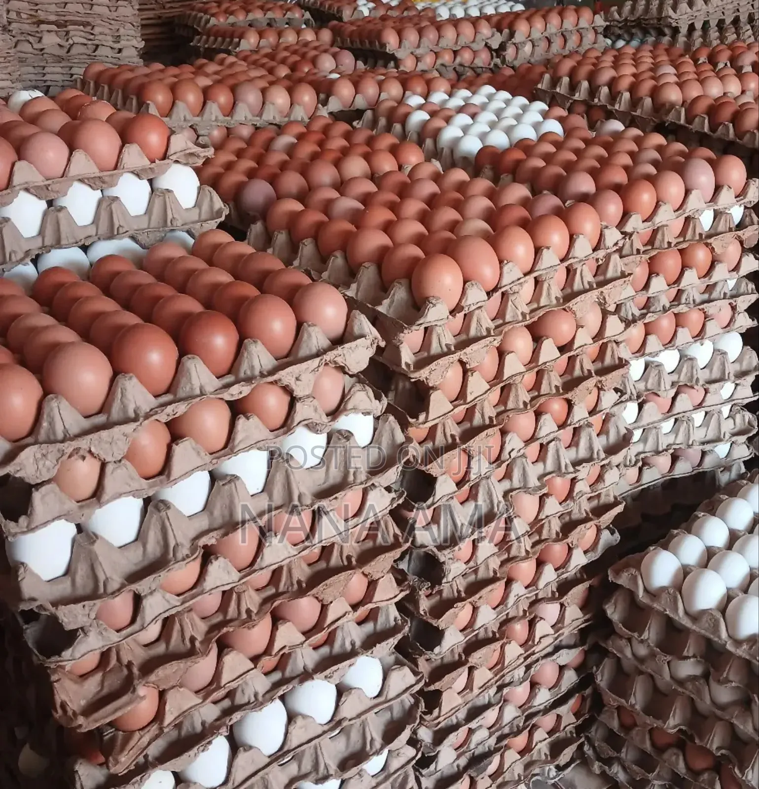 Fresh Farm Eggs Available in Wholesale and Retail