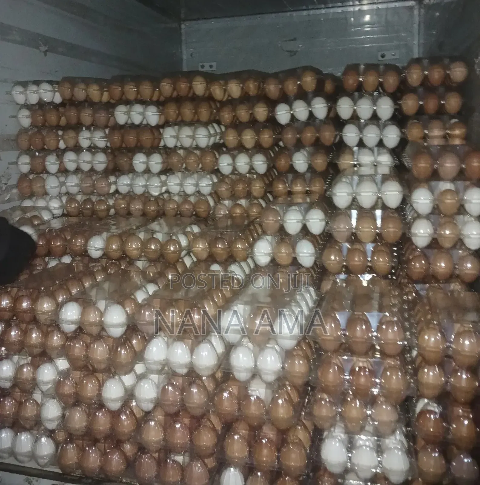 Fresh Farm Eggs Available in Wholesale and Retail