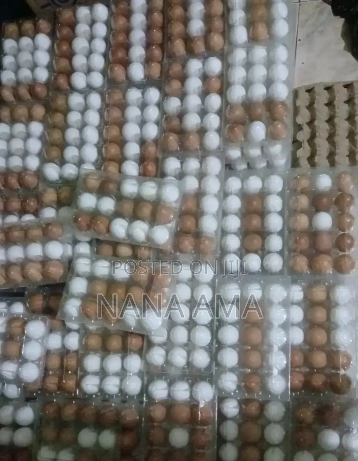 Fresh Farm Eggs Available in Wholesale and Retail