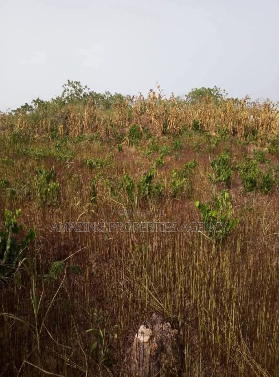 1.07 ACRES of Land for Sale at Ahodwo