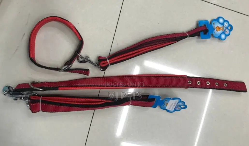 Dog Leash and Collar