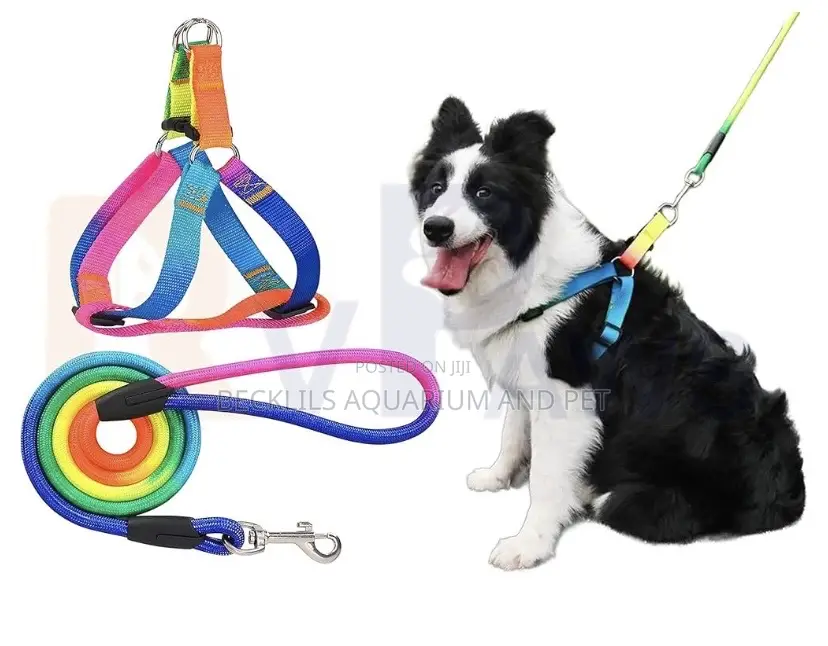 Multiple Colored Dog Harness With Leash