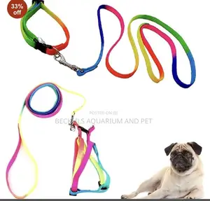 Multicolored Dog Collar With Leash