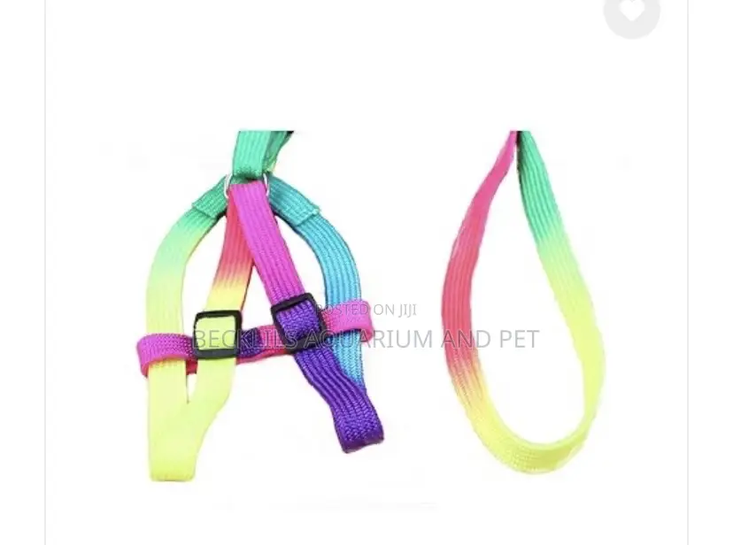 Rainbow Dog Harness With Leash for S/ M Dogs